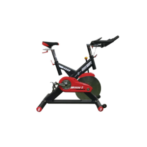 BICICLETA SPINNING LIVORNO – 060032